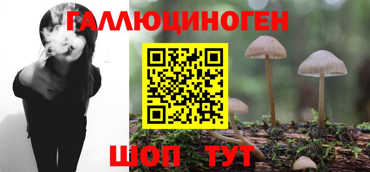 Галлюциногенные грибы Cubensis  Псилоцибиновые грибы Psilocybe  Вход с VPN  купить наркотик  Саров 