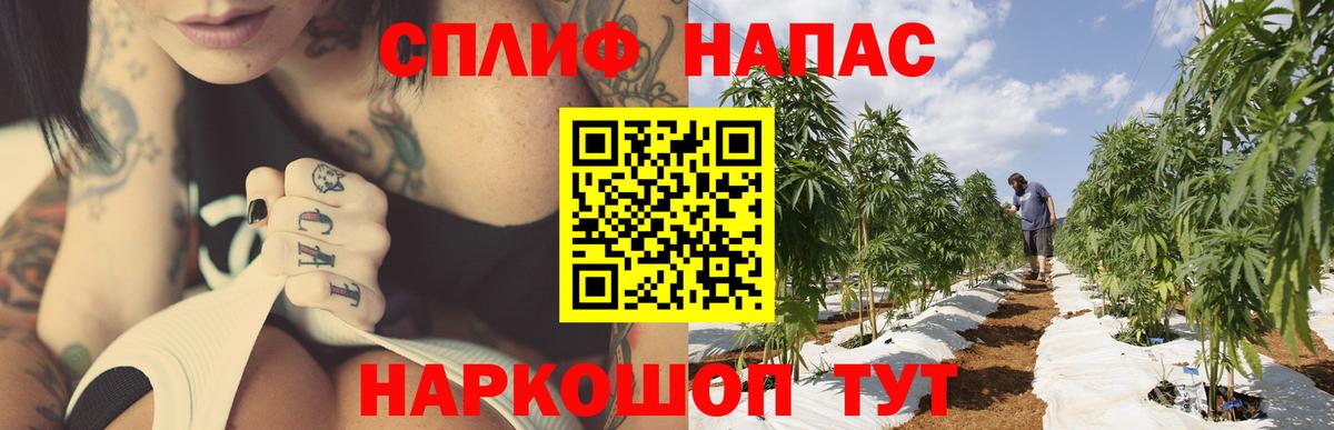 Бошки Шишки AK-47  Бошки Шишки AK-47  Вход с VPN  Канабис марихуана  Саров 